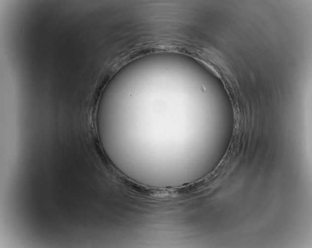 X0000094930415200711291005