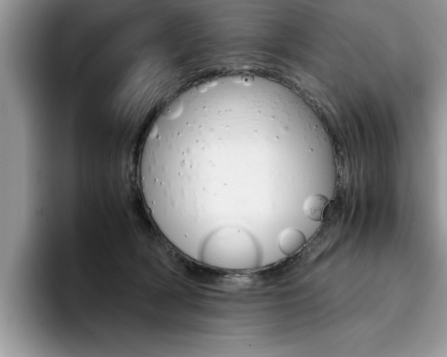 X0000094930418200711291005