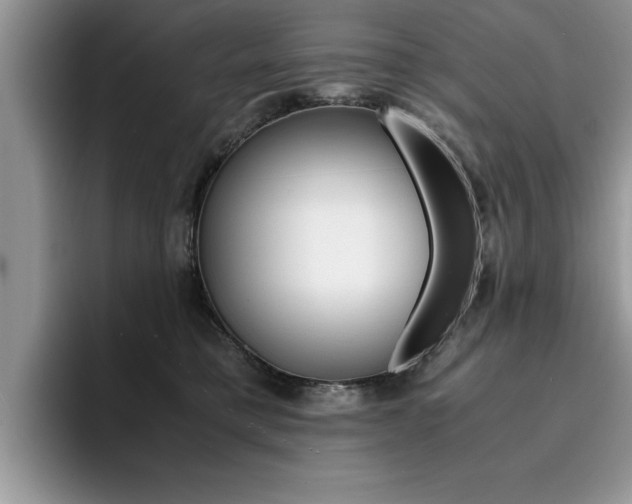 X0000094930421200711291005