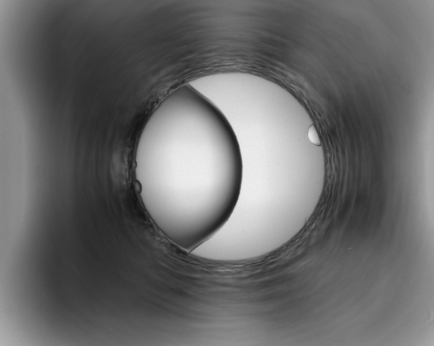 X0000094930422200711291005