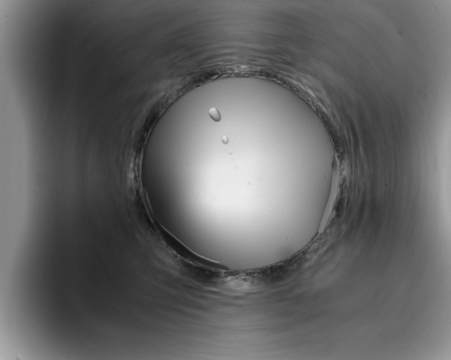 X0000094930423200711291005