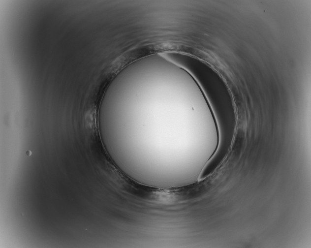 X0000094930425200711291005