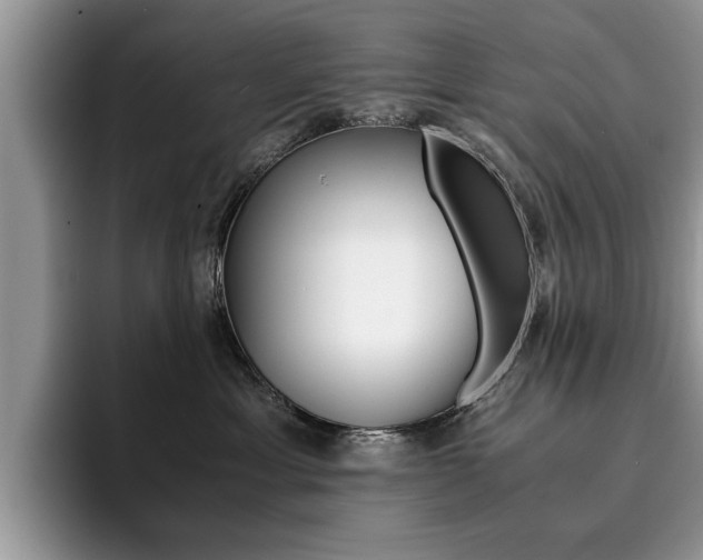 X0000094930429200711291005