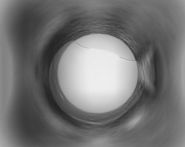 X0000094930431200711291005