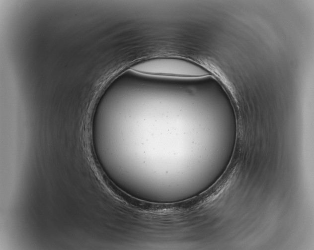 X0000094930433200711291004
