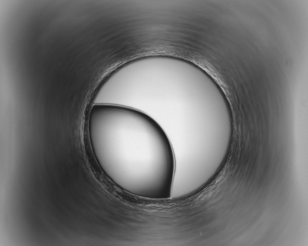 X0000094930434200711291004