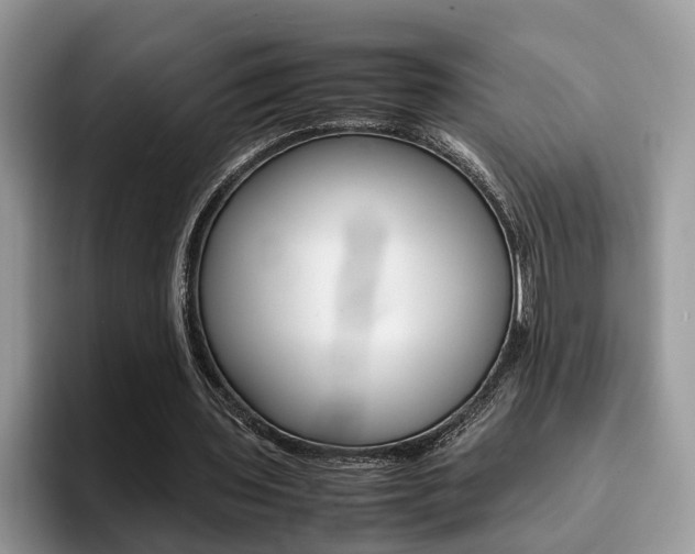 X0000094930435200711291004