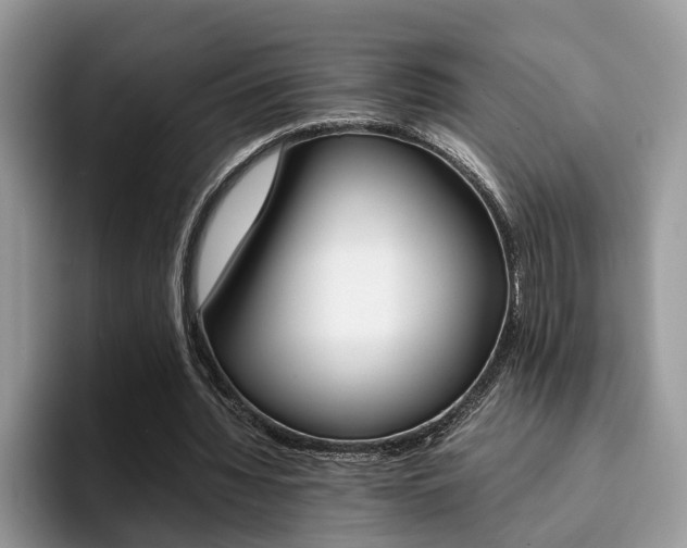 X0000094930436200711291004