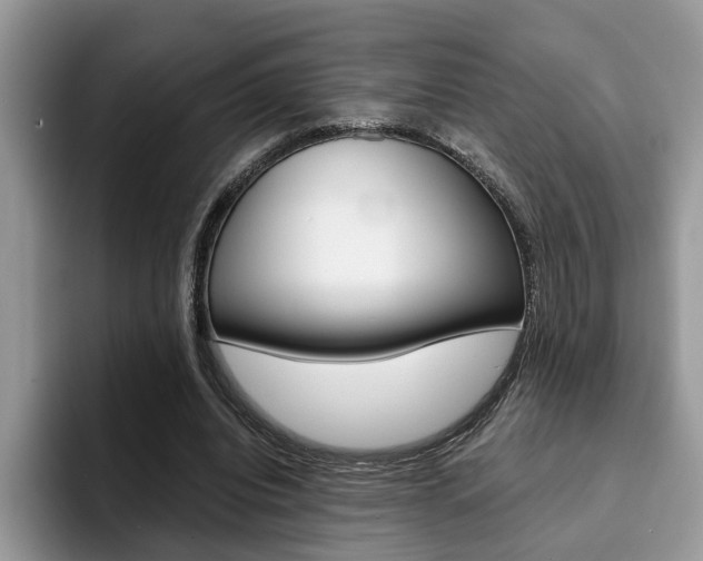 X0000094930440200711291004