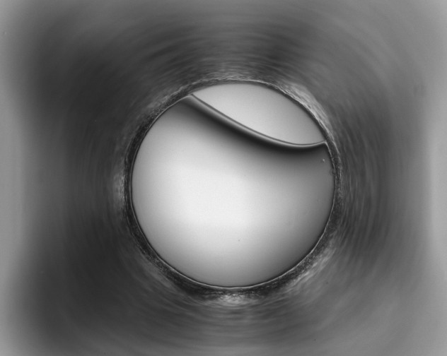 X0000094930441200711291004