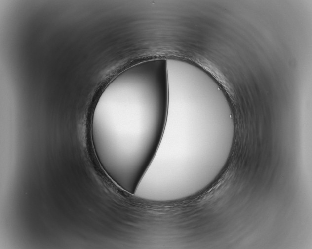 X0000094930442200711291004