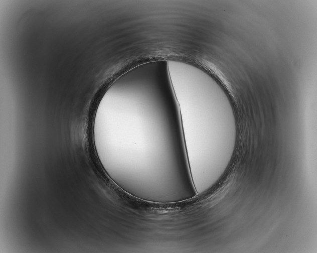 X0000094930443200711291004