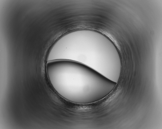 X0000094930445200711291004