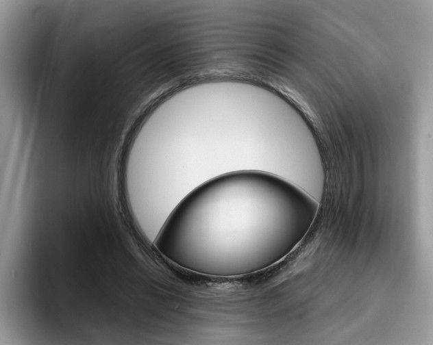 X0000094930446200711291004