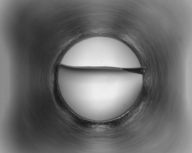 X0000094930448200711291004