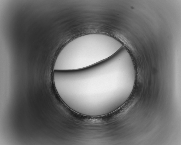 X0000094930449200711291004