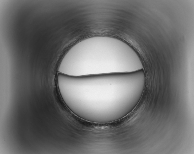 X0000094930450200711291004
