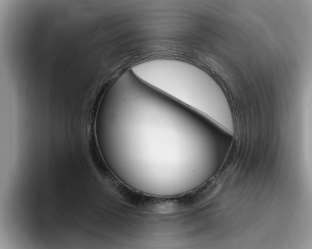 X0000094930456200711291004