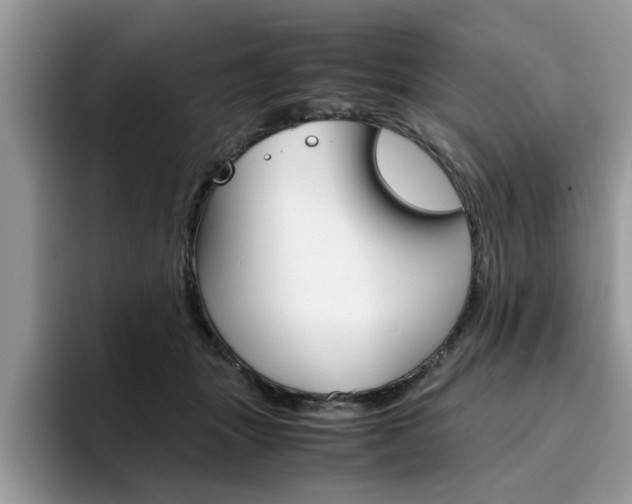 X0000094930463200711291004
