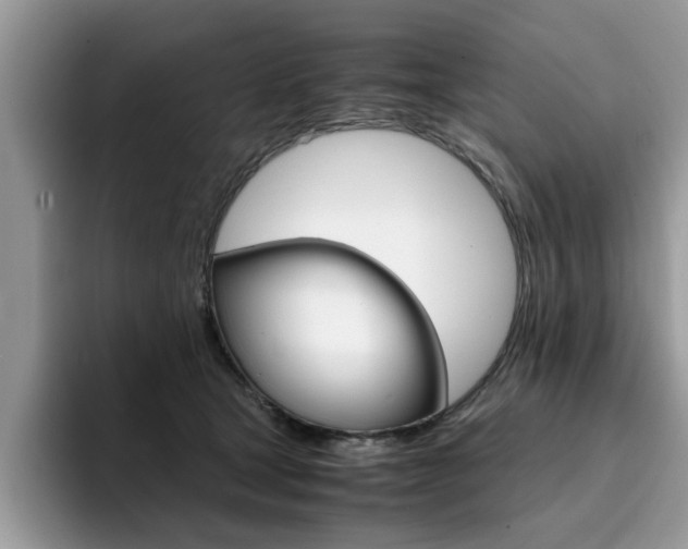 X0000094930465200711291004