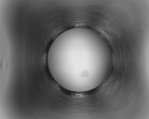 X0000094930475200711291005