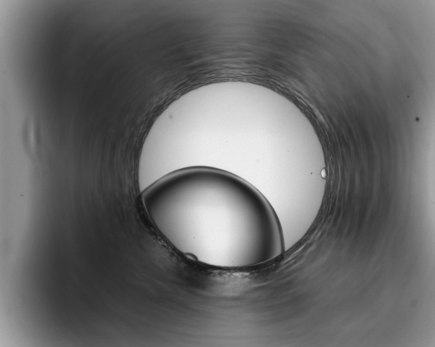 X0000094930476200711291005