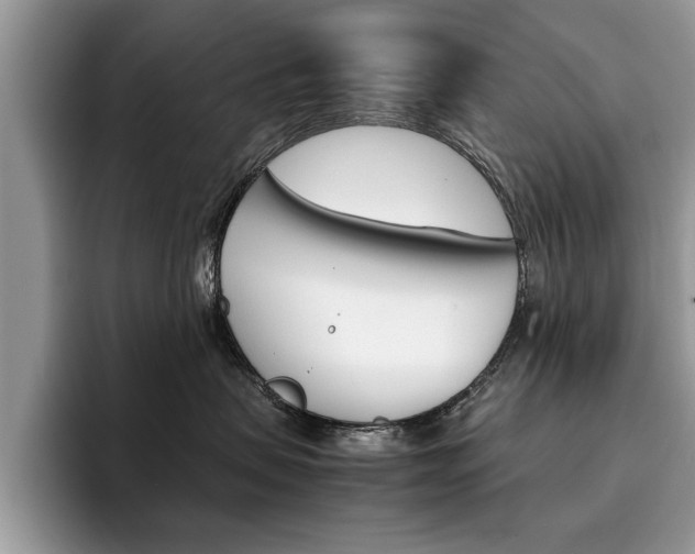 X0000094930479200711291005