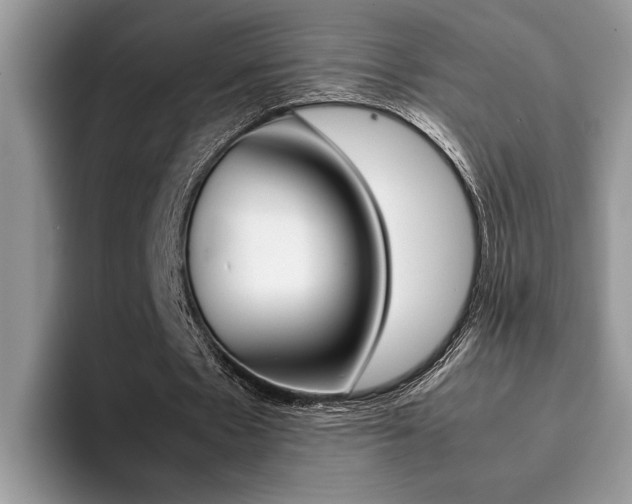 X0000094930481200711291004