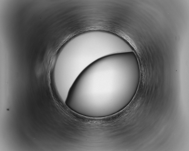 X0000094930482200711291004