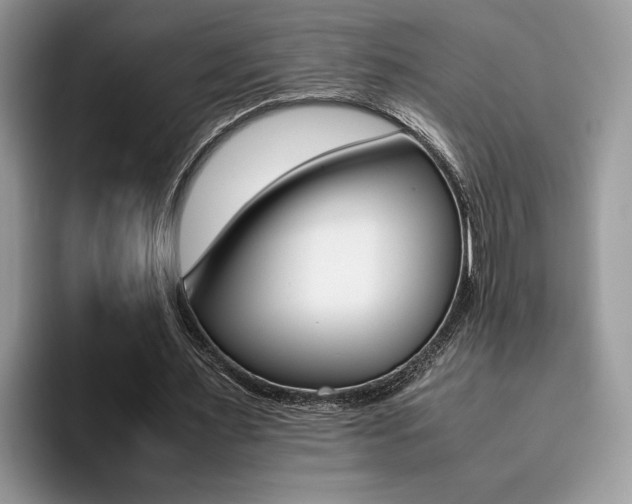 X0000094930483200711291004