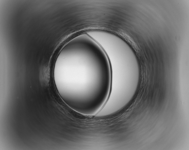 X0000094930484200711291004