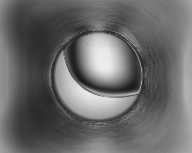 X0000094930485200711291004