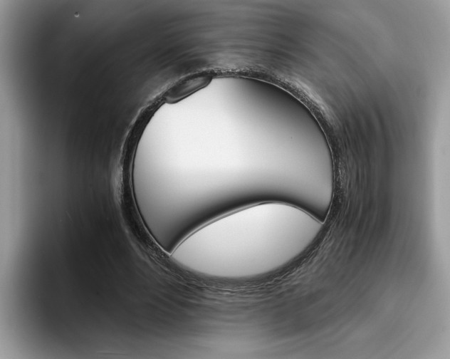 X0000094930488200711291004