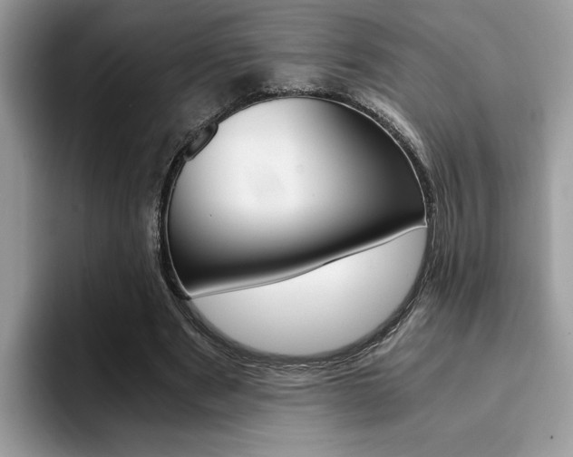 X0000094930489200711291004