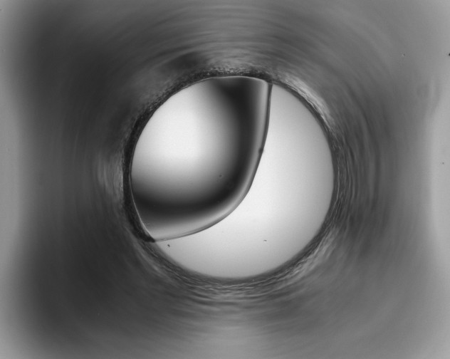 X0000094930493200711291004