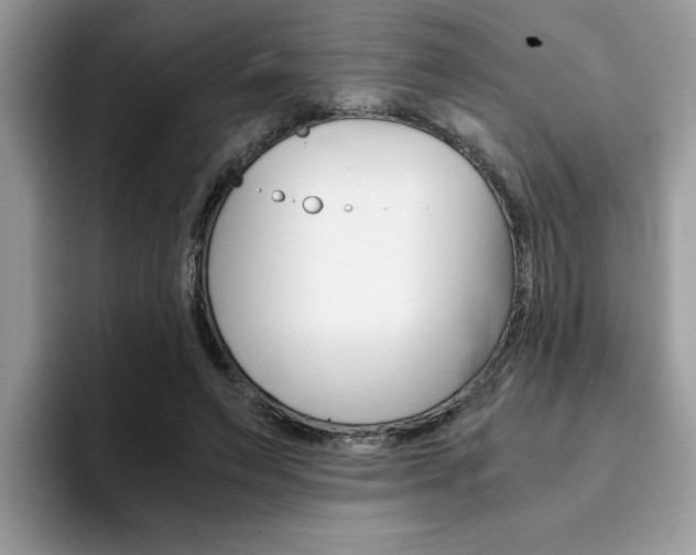 X0000094930495200711291004