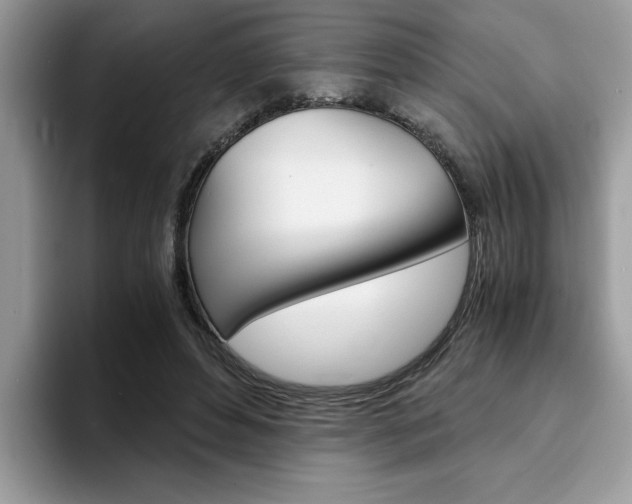 X0000094930496200711291004