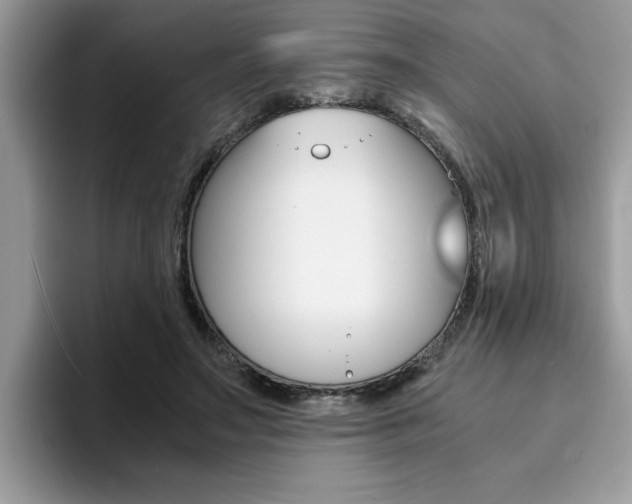 X0000094930499200711291004