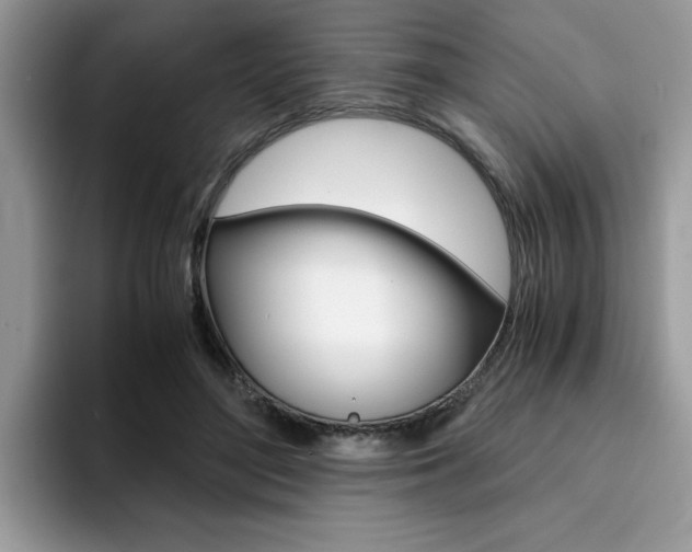 X0000094930500200711291004