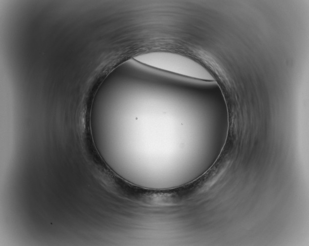 X0000094930501200711291004