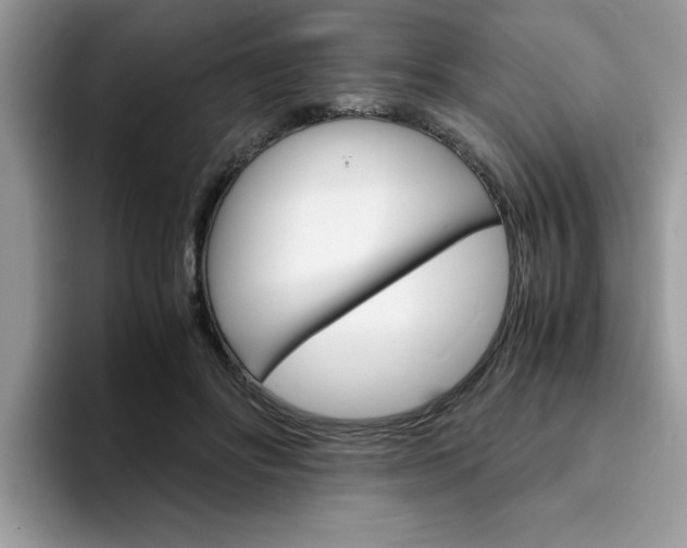 X0000094930502200711291004