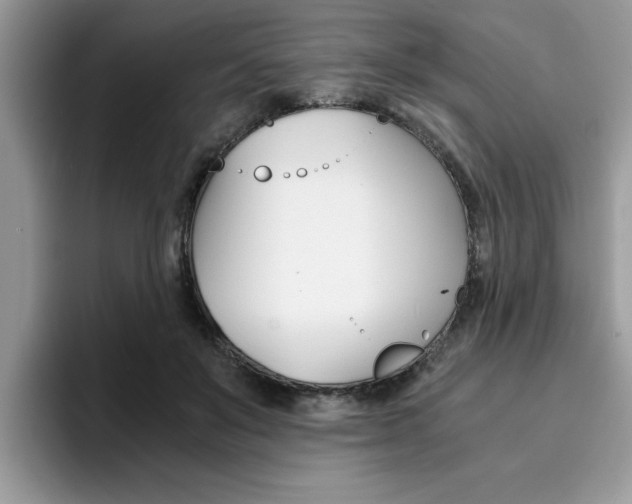 X0000094930503200711291004