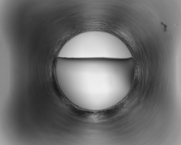 X0000094930504200711291004