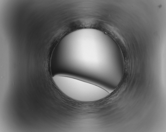 X0000094930505200711291004