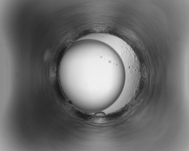 X0000094930507200711291004