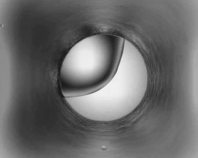 X0000094930509200711291004