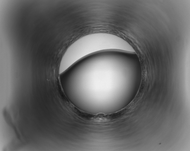 X0000094930512200711291004