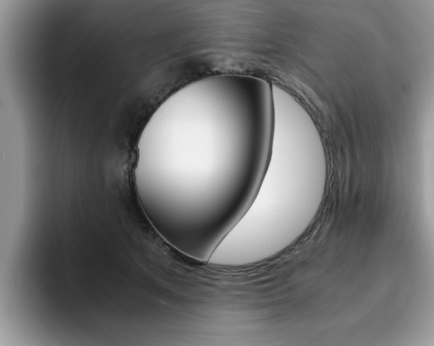 X0000094930513200711291004