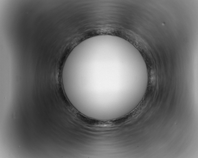 X0000094930514200711291004