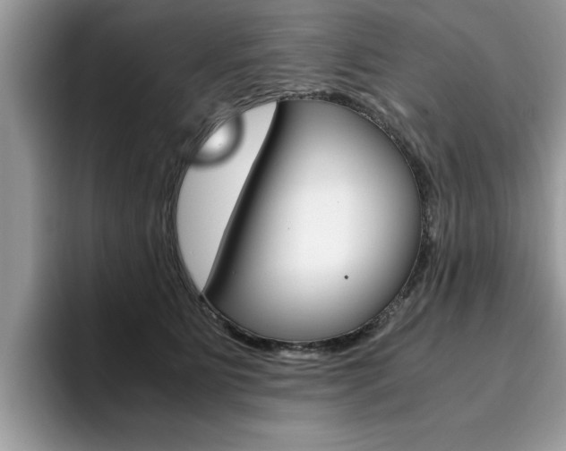 X0000094930515200711291004